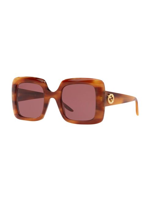 Gucci Multicolor GG0896S 004 Women's Sunglasses Tortoiseshell