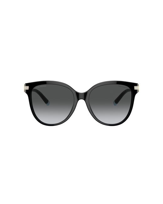 Tiffany & Co Black Sunglasses Tf4193b