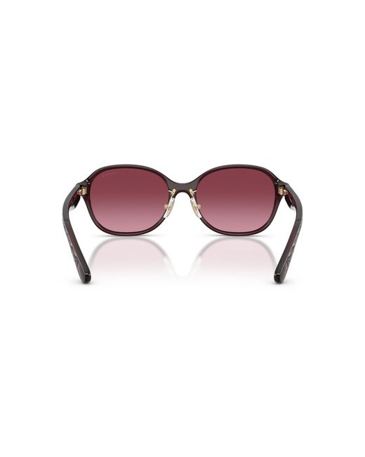 COACH Black Sunglass Cby85
