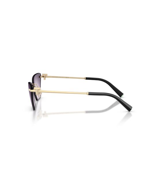 Tiffany & Co Black Sunglass Tf3120