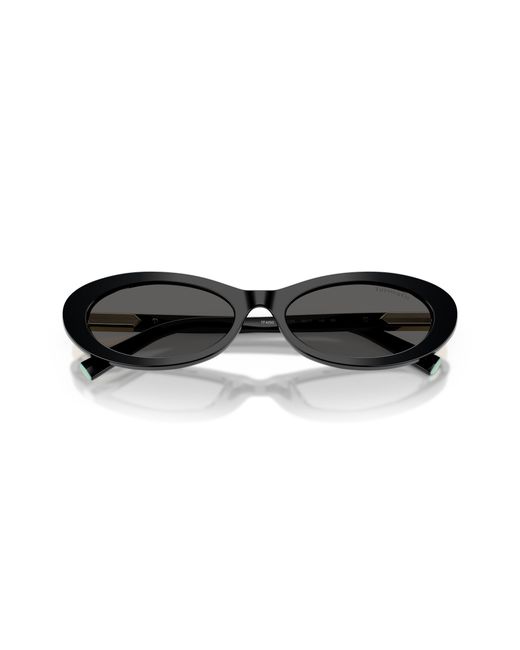 Tiffany & Co Black Sunglass Tf4250
