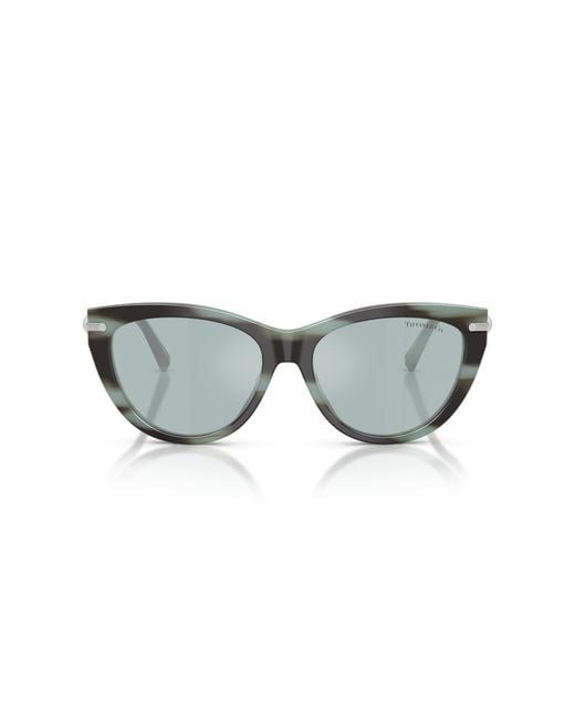 Tiffany & Co Black Sunglass Tf4253