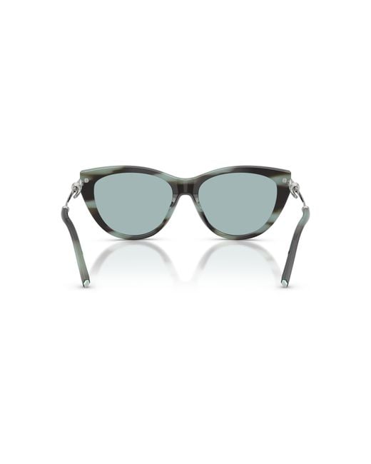 Tiffany & Co Black Sunglass Tf4253