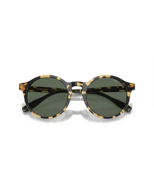 Polo Ralph Lauren Green Sunglass Ph4204u for men