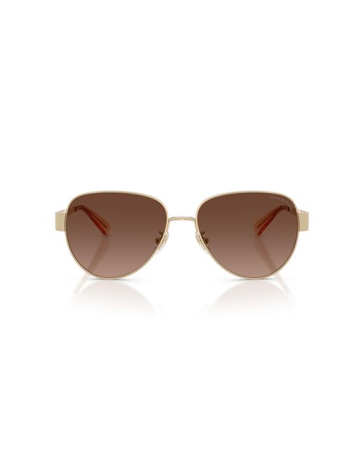 COACH Black Sunglass Cdp37