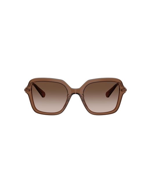 Swarovski Black Sunglass Sk6040