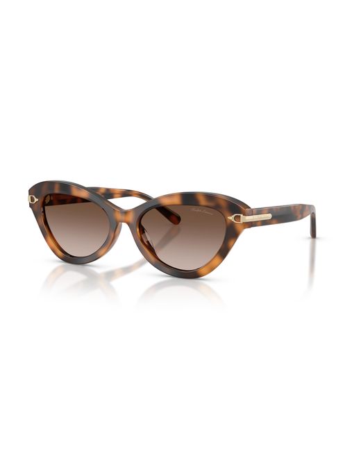 Ralph Lauren Black Sunglass Rl8236u