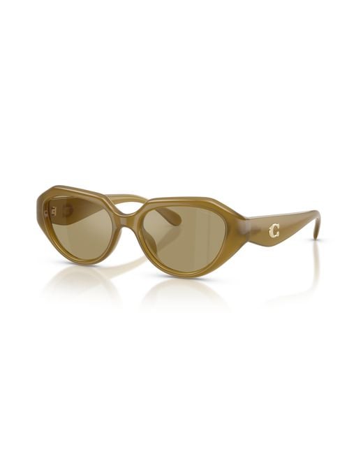 COACH Black Sunglass Cby77
