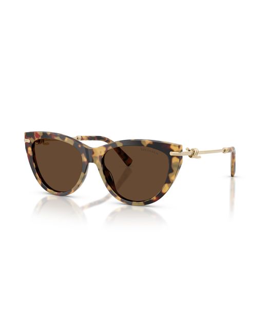 Tiffany & Co Black Sunglasses Tf4253