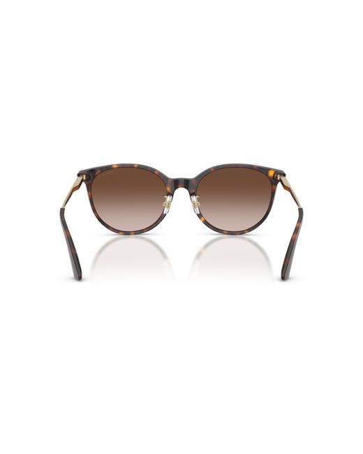 Jimmy Choo Black Sunglass Jc5056jd