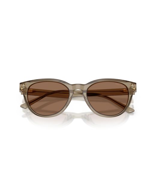 Jimmy Choo Black Sunglass Jc5043d