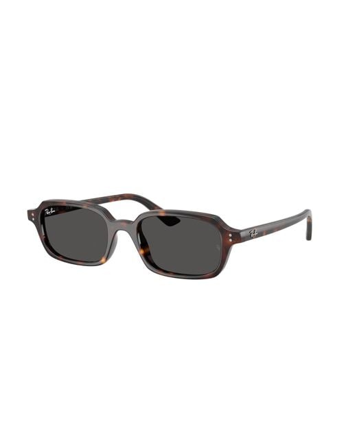 Ray-Ban Black Ray