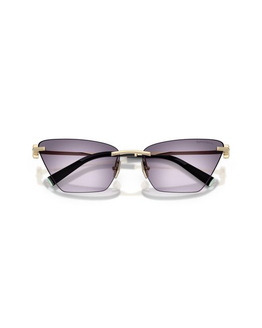 Tiffany & Co Black Sunglass Tf3120