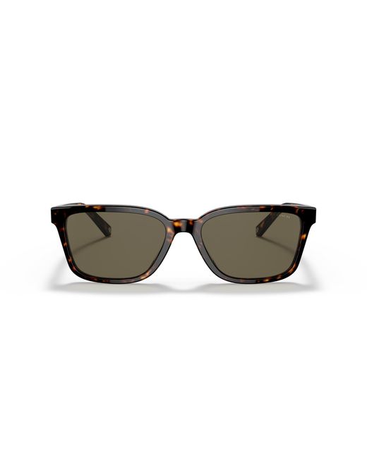 COACH Black Sunglass Hc8328u C6196 for men