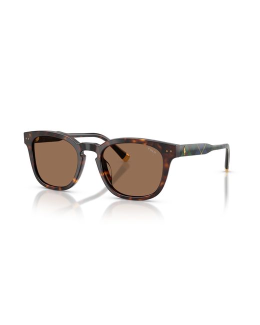 Polo Ralph Lauren Black Sunglass Ph4242u for men