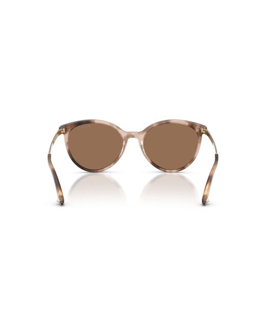 Jimmy Choo Black Sunglass Jc5060
