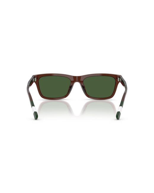 Polo Ralph Lauren Green Sunglass Ph4240u for men