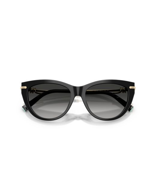 Tiffany & Co Black Sunglass Tf4253