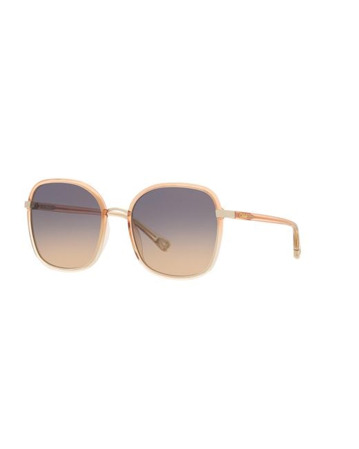 Chloé Black Sunglass Ch0031s