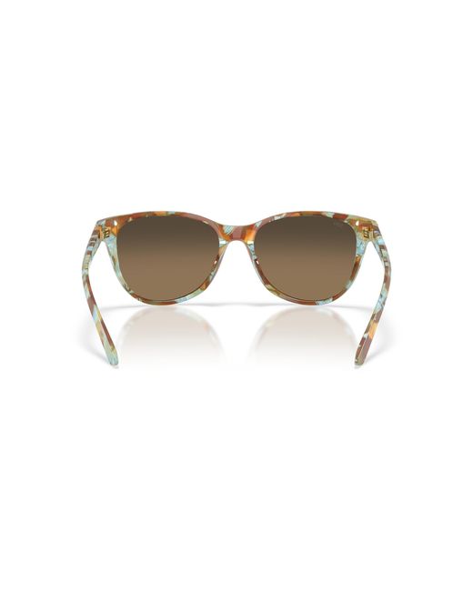 Costa Black Sunglass Catherine