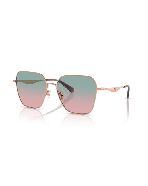 COACH Black Sunglass Cw189