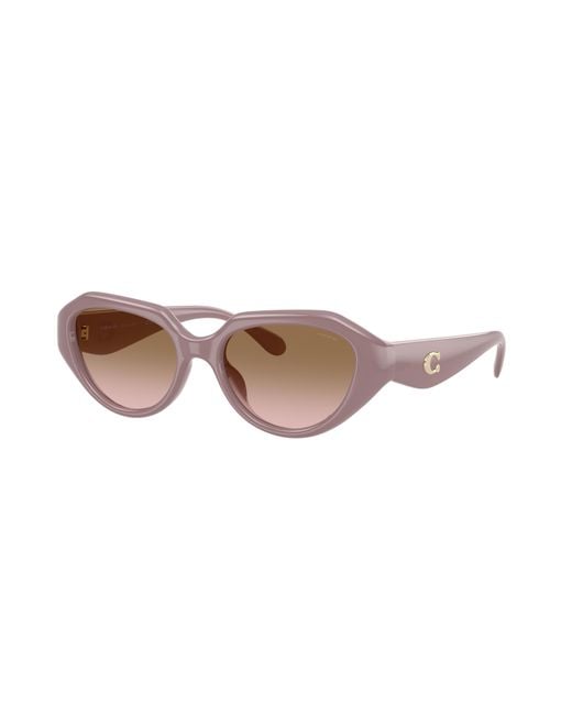 COACH Black Sunglass Cby77