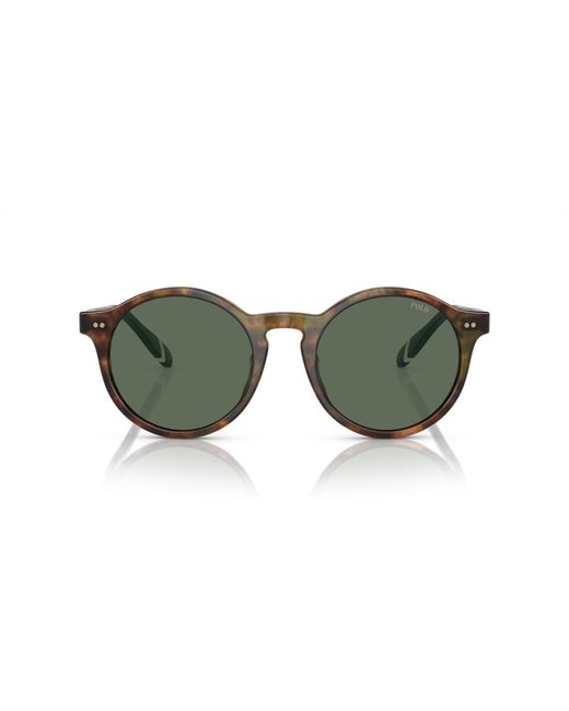 Polo Ralph Lauren Green Sunglass Ph4204u for men
