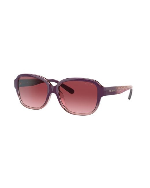 COACH Black Sunglass L1153