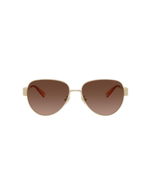 COACH Black Sunglass Cdp37