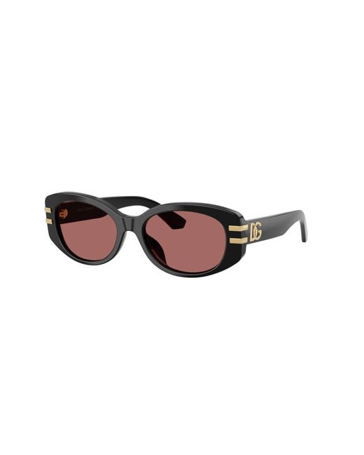 Dolce & Gabbana Black Sunglass Dx4014