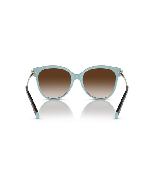 Tiffany & Co Black Sunglass Tf4193b