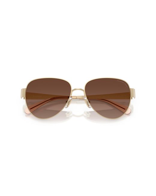 COACH Black Sunglass Cdp37