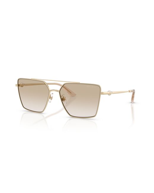 Jimmy Choo Black Sunglass Jc4016hb