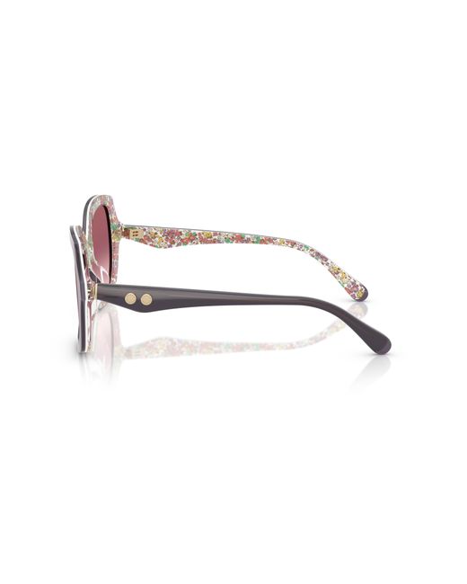 COACH Black Sunglass Cw225