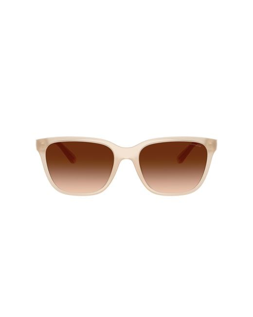 COACH Black Sunglass Cae86