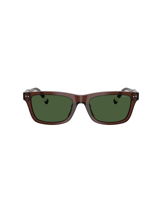 Polo Ralph Lauren Green Sunglass Ph4240u for men