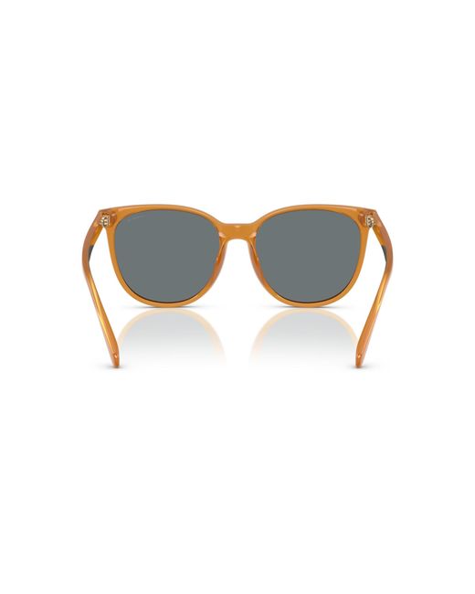 COACH Black Sunglasses Cw428