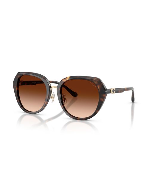 COACH Black Sunglass Cby93
