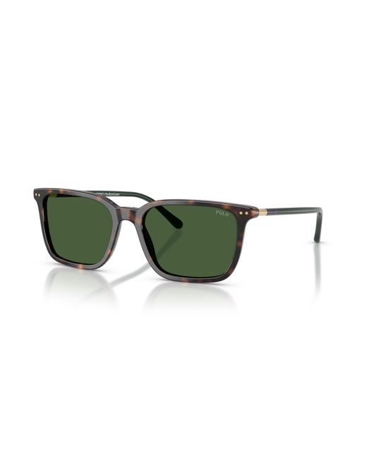 Polo Ralph Lauren Green Sunglass Ph4226 for men