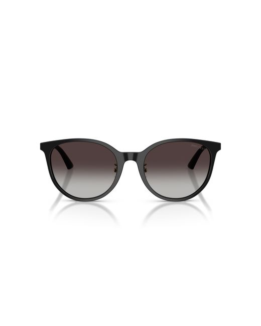 Jimmy Choo Black Sunglass Jc5056jd