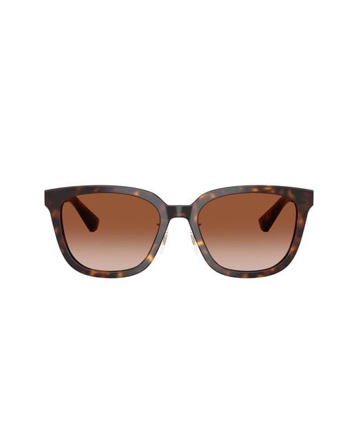Burberry Black Sunglasses Be4446D