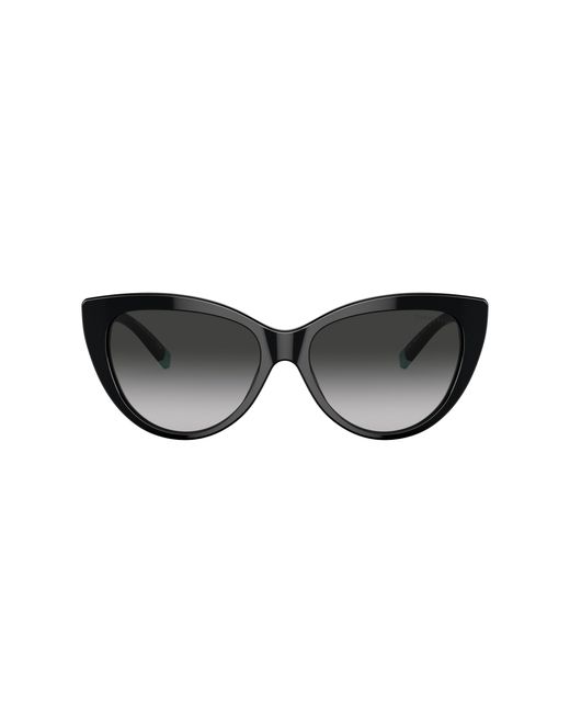 Tiffany & Co Black Sunglass Tf4196