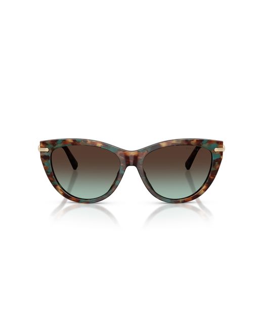 Tiffany & Co Black Sunglasses Tf4253