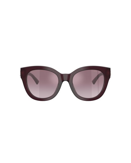 Jimmy Choo Black Sunglass Jc5053