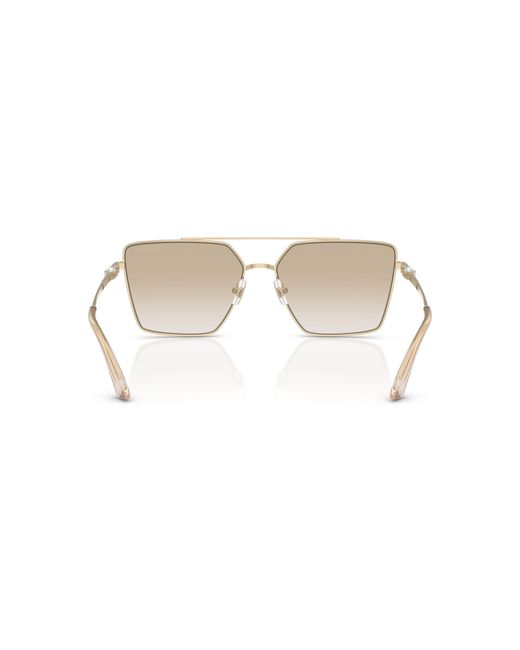 Jimmy Choo Black Sunglass Jc4016hb
