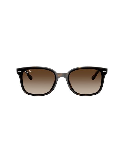 Ray-Ban Black Ray