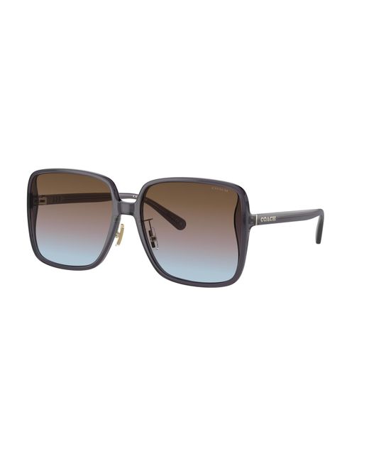 COACH Black Sunglass Ch572