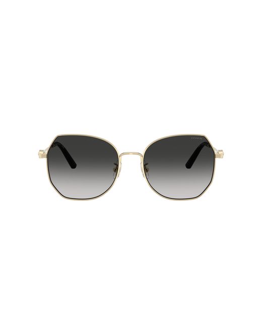COACH Black Sunglass Cad79