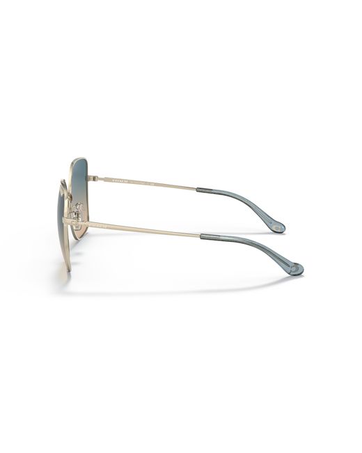 COACH Black Hc7133 Sunglasses