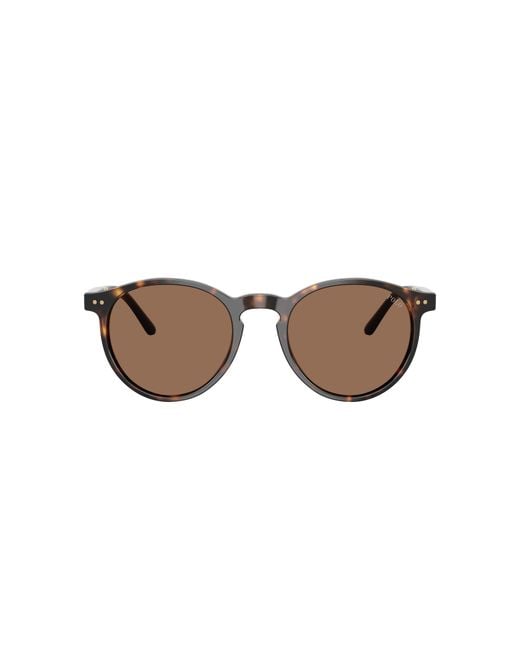 Polo Ralph Lauren Black Sunglass Ph4236 for men